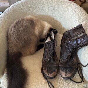 Troopah Brown Boots